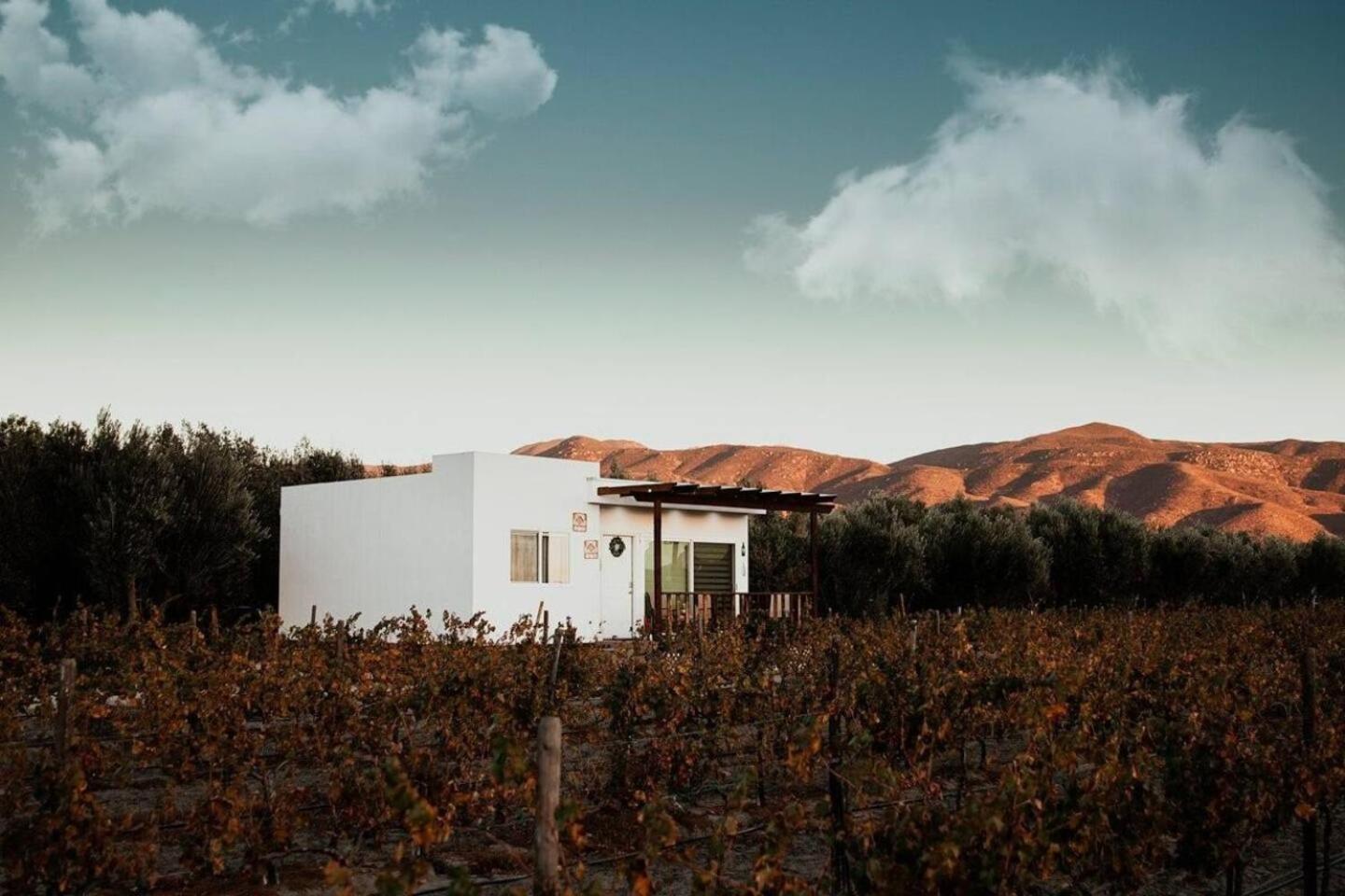 Casa Colibri Guadalupe Valley Buitenkant foto